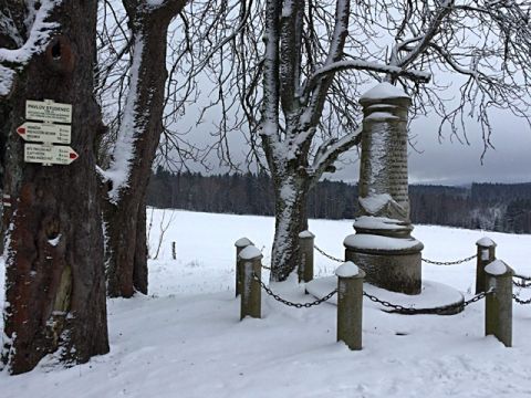 Foto 332